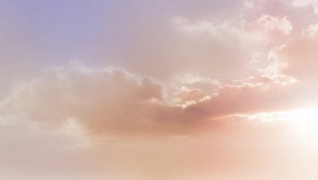 B_TRE Verspannungslösende Übungen nach Dr. David Berceli (TRE®)