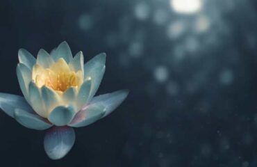 SH-yogaruheundkraft Yoga