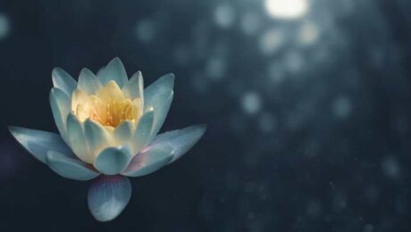 SH-yogaruheundkraft Yoga